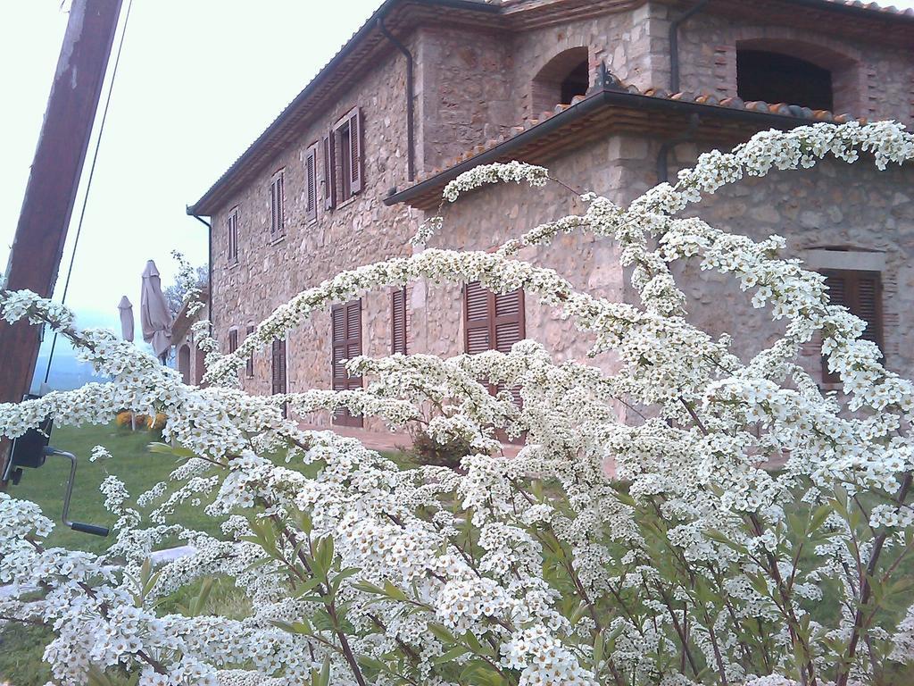 Agriturismo Il Poggiolo Bauernhof Montemerano